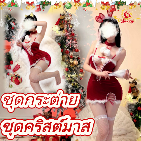 Christmas · Z113